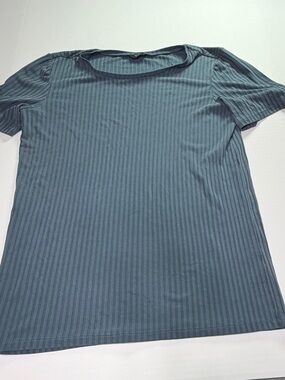 Brass Blue Ribbed Knit Tee Stretch Fitted Minimalist Basic Top
